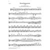 String Quartets in c minor and a minor op. 51, Johannes Brahms - String quartet