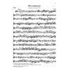 String Trio E flat major K. 563, Wolfgang Amadeus Mozart - String Duo, String Trio