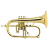 Flygelhorn Courtois 154 Professional, Yellow Brass, 3v. Sølv