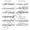 Piano Works Vol.4, Franz Liszt - Piano Solo