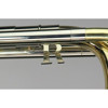 Basstrombone Bb/F/G Rath R900 L-bore, Yellow Brass, Lakkert