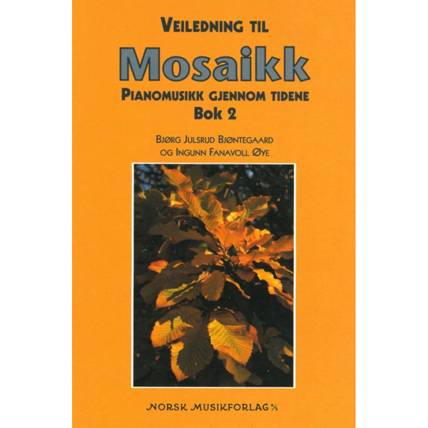 Mosaikk gjennom tid Veiledning bok 2, Bjøntegaard/Øye